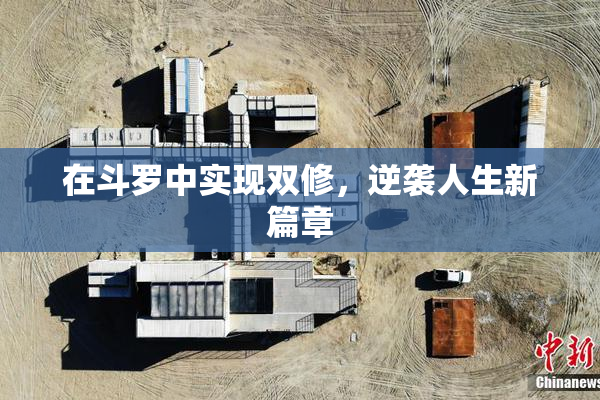 在斗罗中实现双修，逆袭人生新篇章