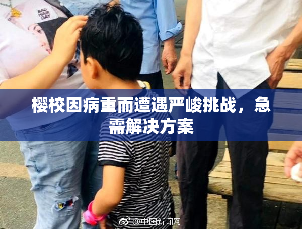 樱校因病重而遭遇严峻挑战，急需解决方案