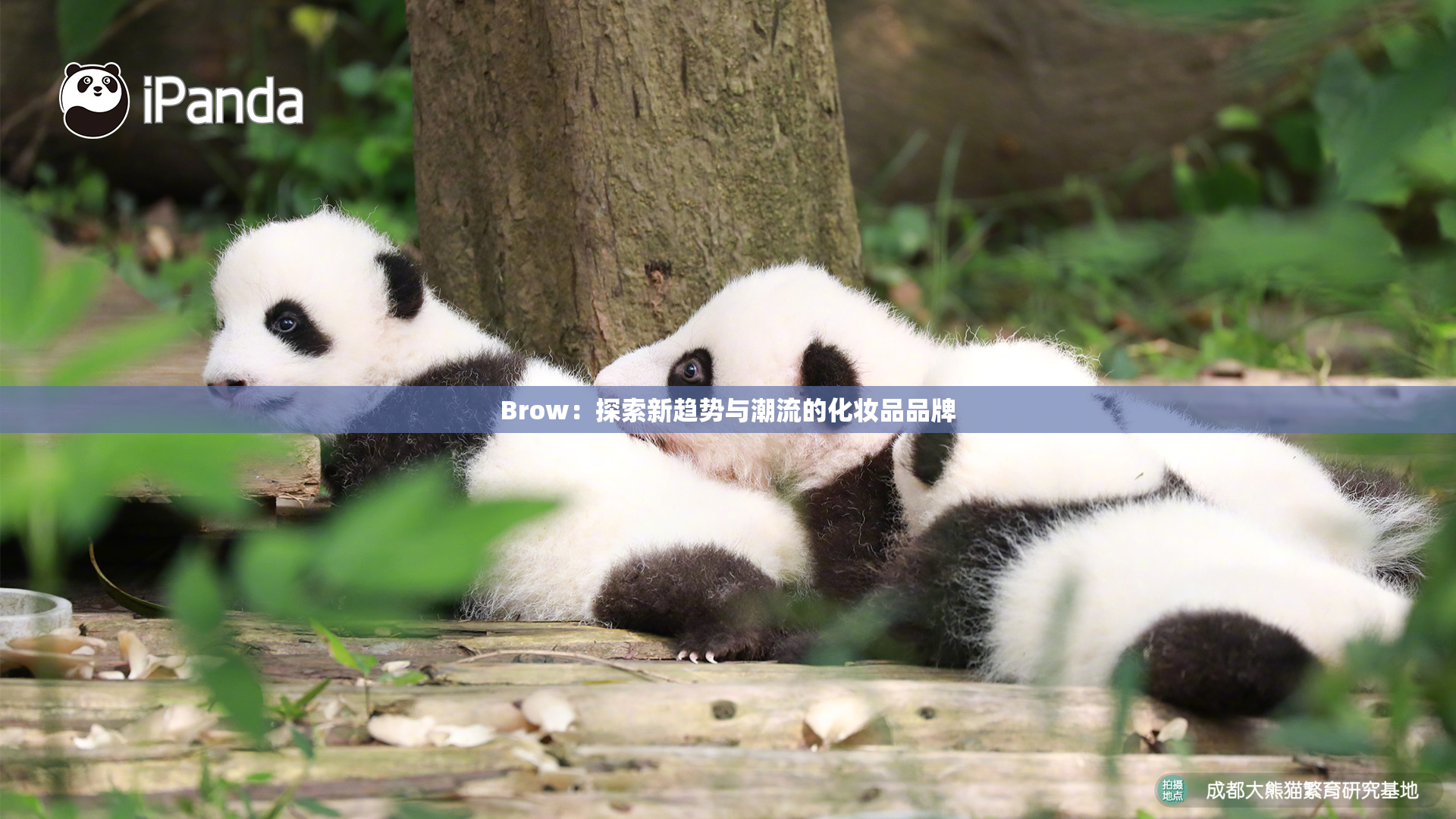 Brow：探索新趋势与潮流的化妆品品牌