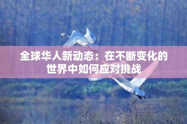 全球华人新动态：在不断变化的世界中如何应对挑战