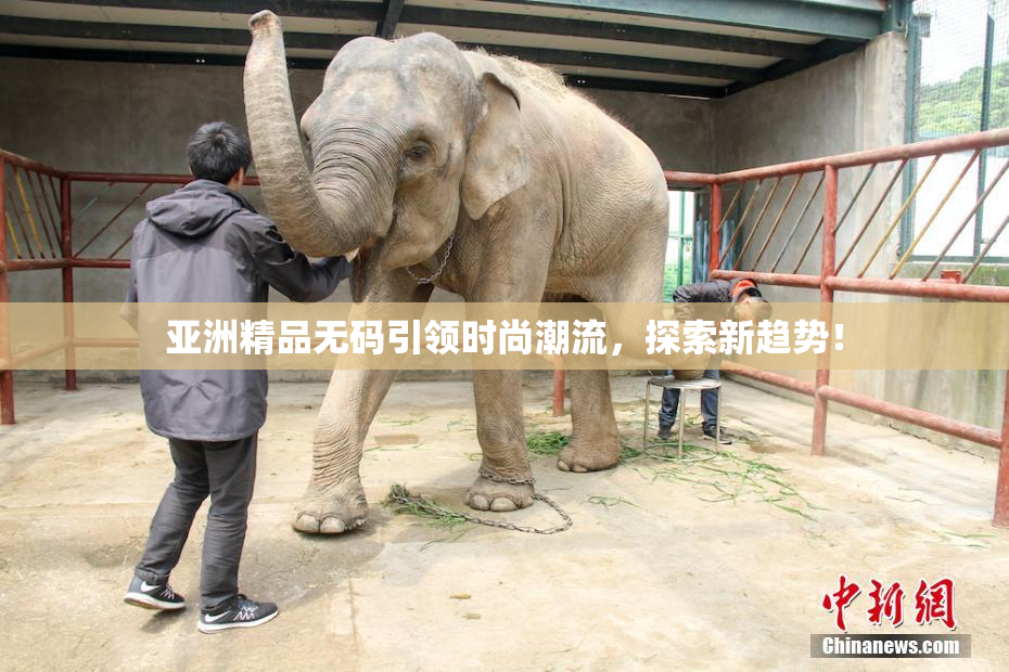 亚洲精品无码引领时尚潮流，探索新趋势！