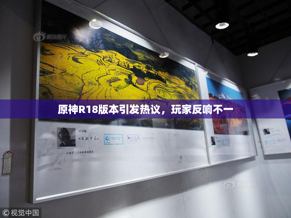 原神R18版本引发热议，玩家反响不一