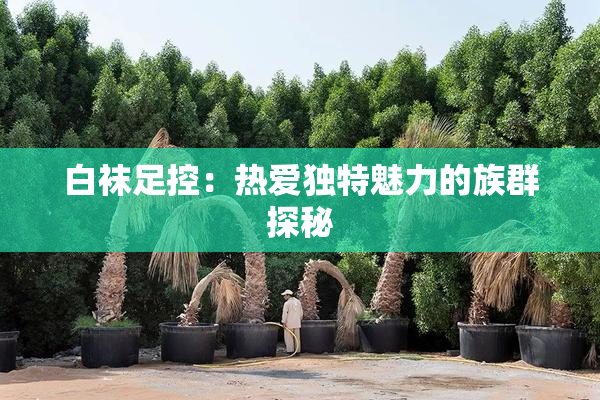 白袜足控：热爱独特魅力的族群探秘