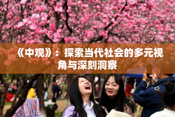 《中观》：探索当代社会的多元视角与深刻洞察