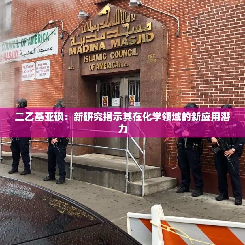 二乙基亚砜：新研究揭示其在化学领域的新应用潜力