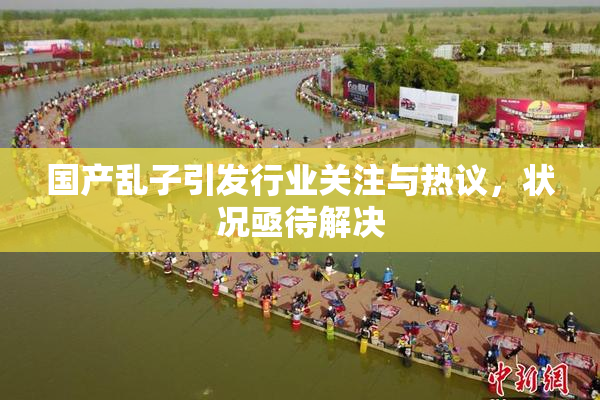 国产乱子引发行业关注与热议，状况亟待解决