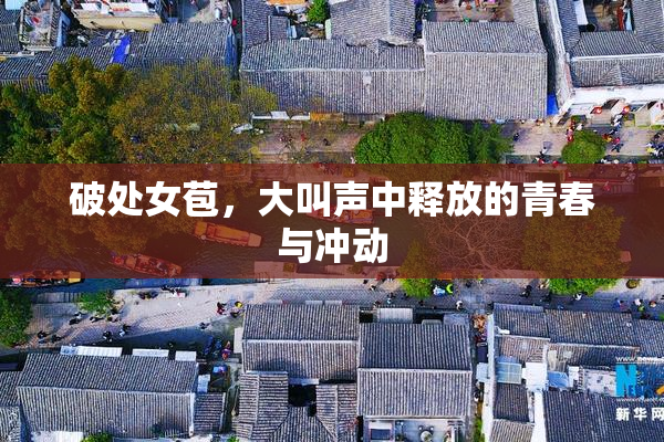 破处女苞，大叫声中释放的青春与冲动