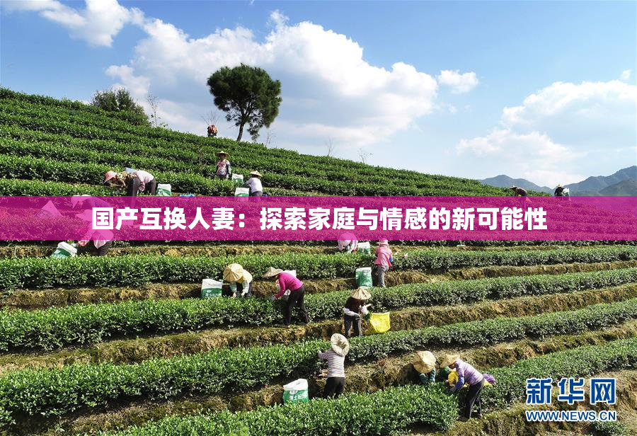 国产互换人妻：探索家庭与情感的新可能性