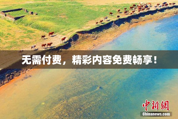 无需付费，精彩内容免费畅享！