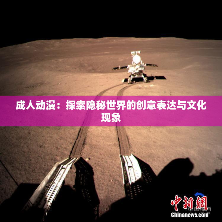 成人动漫：探索隐秘世界的创意表达与文化现象