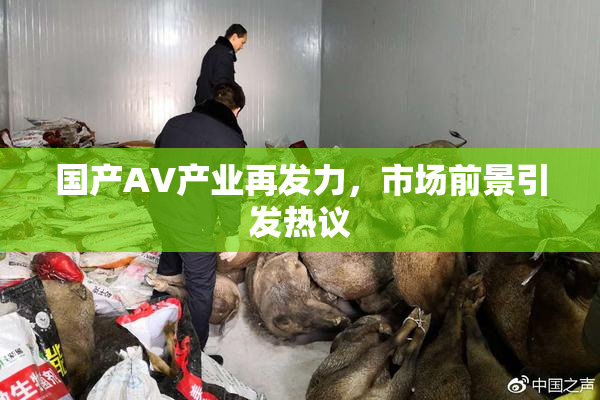 国产AV产业再发力，市场前景引发热议
