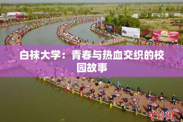 白袜大学：青春与热血交织的校园故事