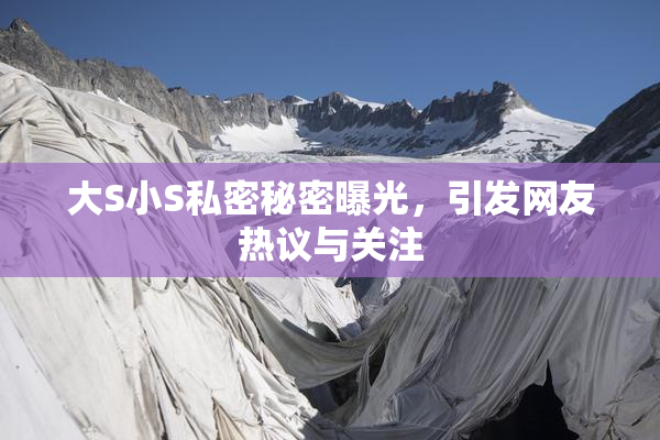大S小S私密秘密曝光，引发网友热议与关注