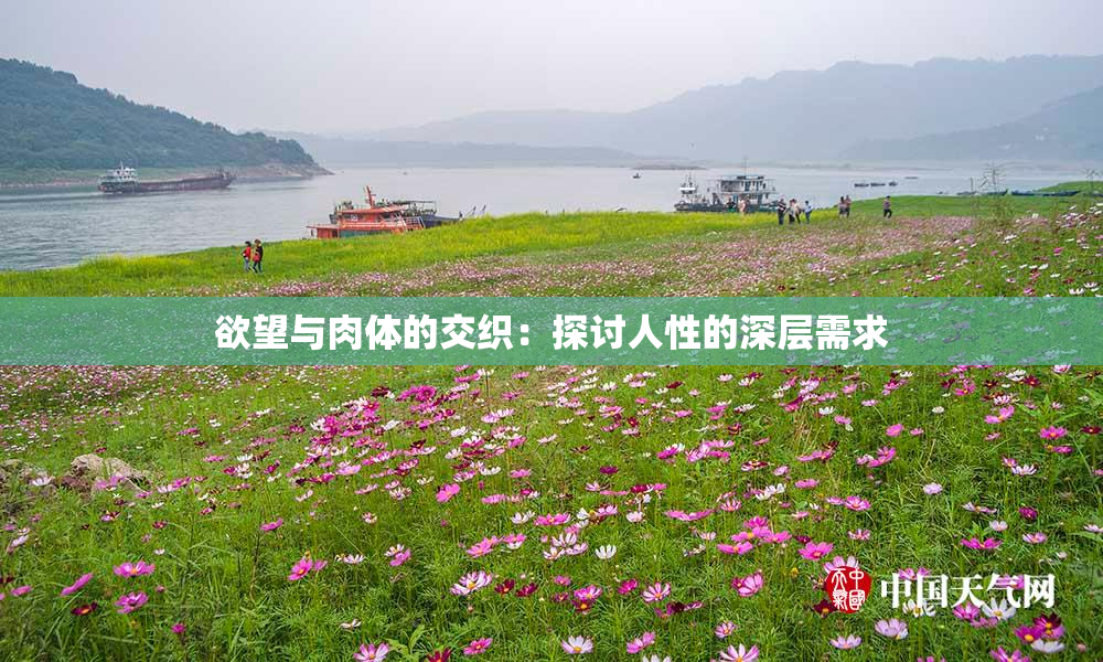 欲望与肉体的交织：探讨人性的深层需求
