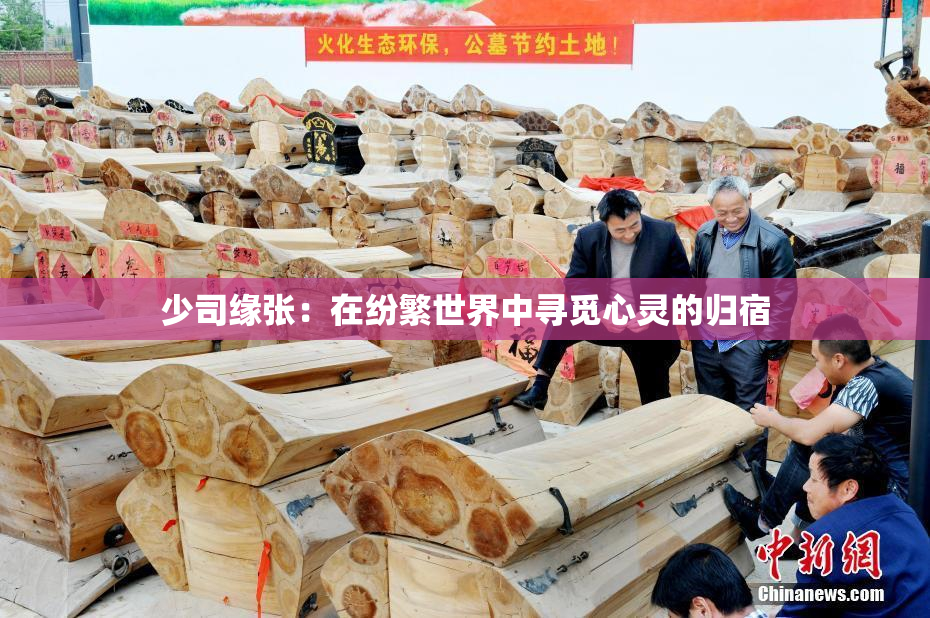 少司缘张：在纷繁世界中寻觅心灵的归宿