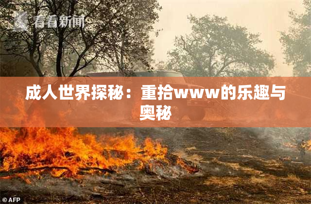 成人世界探秘：重拾www的乐趣与奥秘