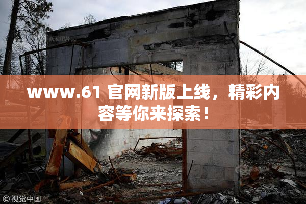 www.61 官网新版上线，精彩内容等你来探索！