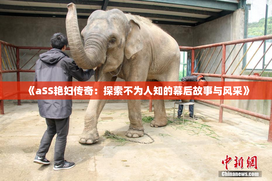 《aSS艳妇传奇：探索不为人知的幕后故事与风采》