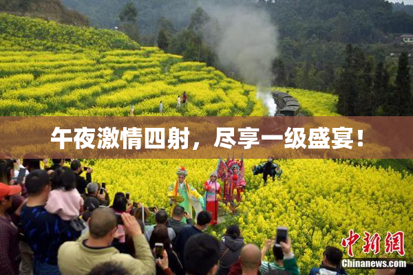午夜激情四射，尽享一级盛宴！
