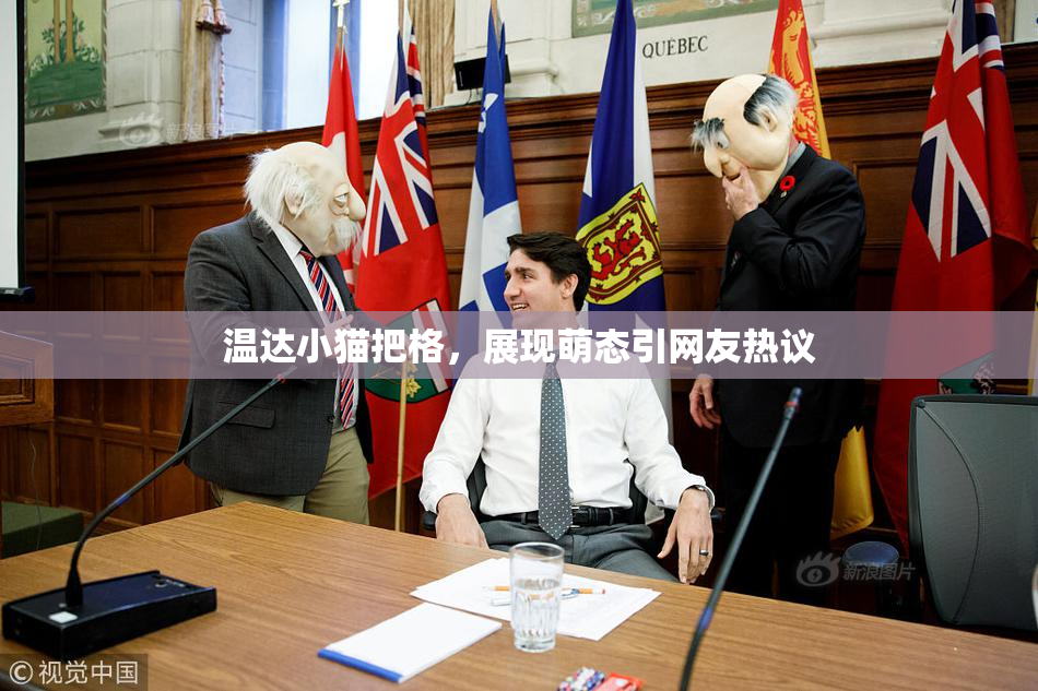 温达小猫把格，展现萌态引网友热议