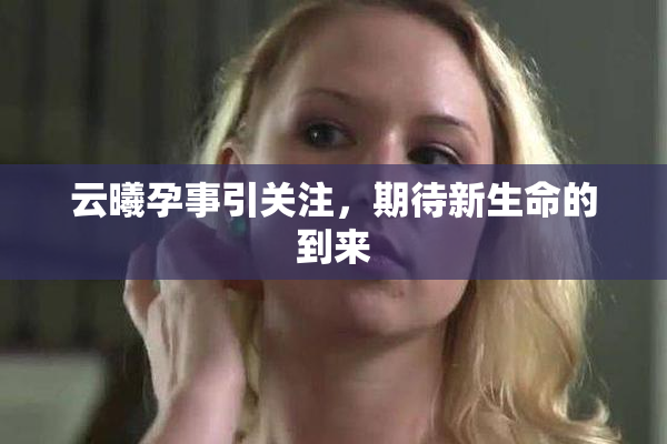 云曦孕事引关注，期待新生命的到来