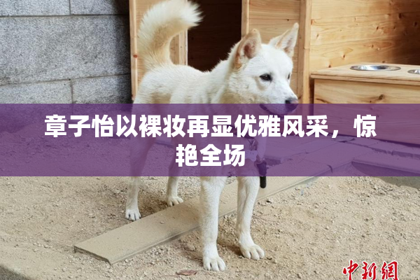 章子怡以裸妆再显优雅风采，惊艳全场