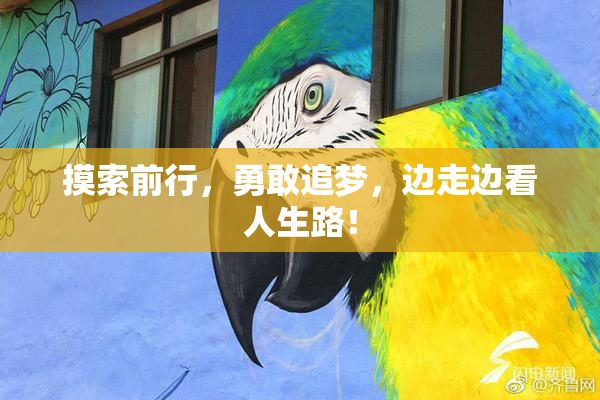 摸索前行，勇敢追梦，边走边看人生路！