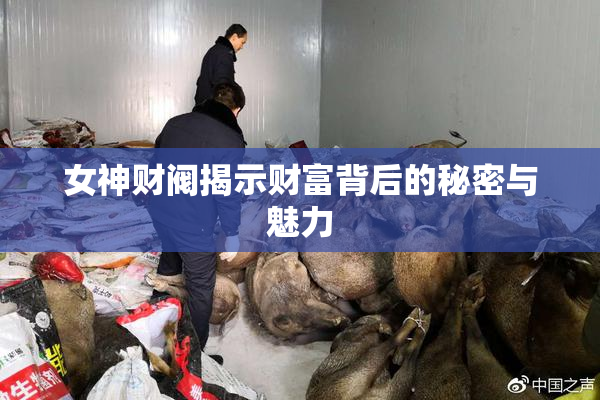 女神财阀揭示财富背后的秘密与魅力