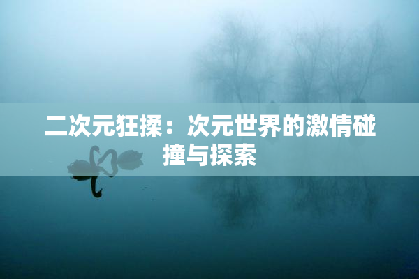 二次元狂揉：次元世界的激情碰撞与探索