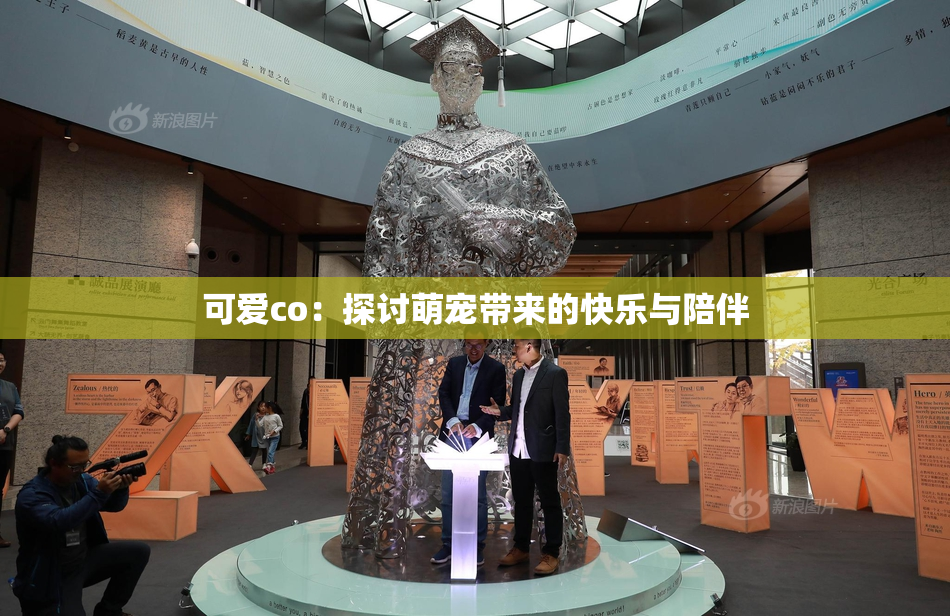 可爱co：探讨萌宠带来的快乐与陪伴