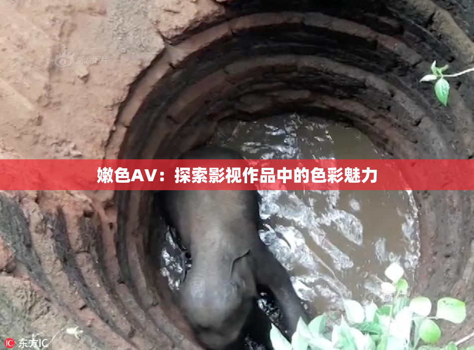 嫩色AV：探索影视作品中的色彩魅力