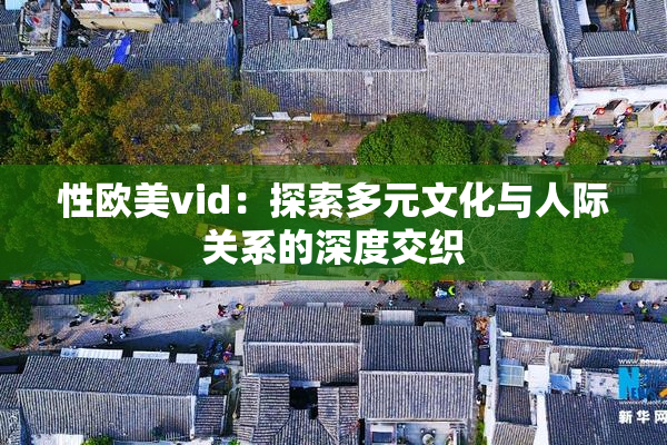 性欧美vid：探索多元文化与人际关系的深度交织