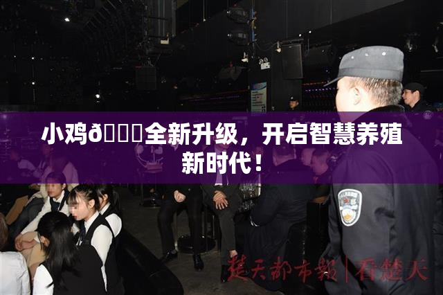 小鸡🐔全新升级，开启智慧养殖新时代！