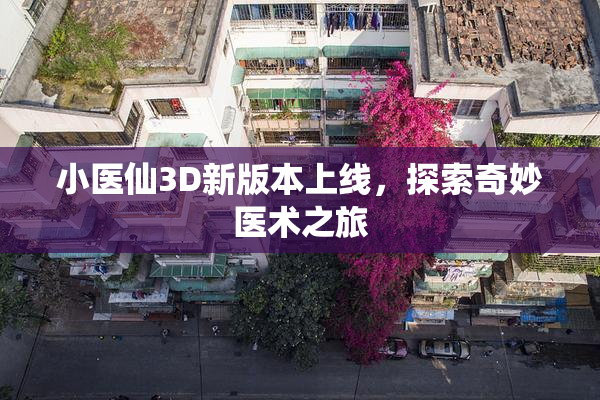 小医仙3D新版本上线，探索奇妙医术之旅