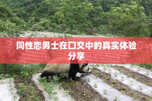 同性恋男士在囗交中的真实体验分享