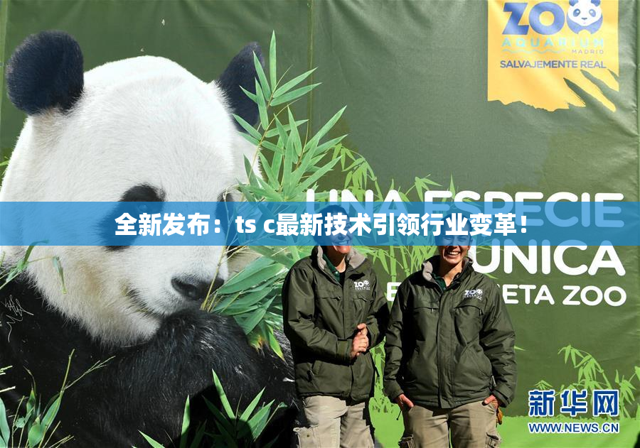 全新发布：ts c最新技术引领行业变革！