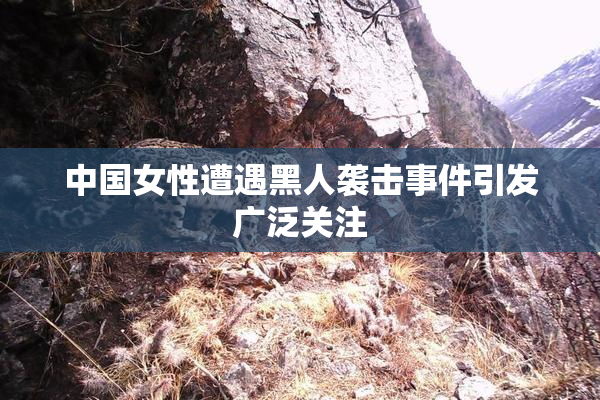中国女性遭遇黑人袭击事件引发广泛关注