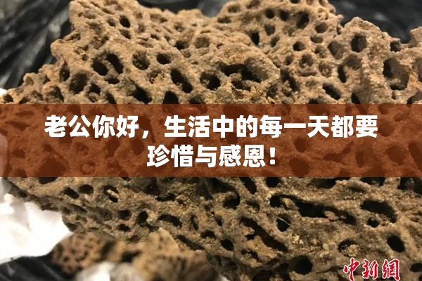 老公你好，生活中的每一天都要珍惜与感恩！
