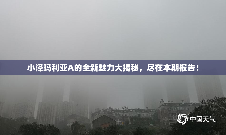 小泽玛利亚A的全新魅力大揭秘，尽在本期报告！