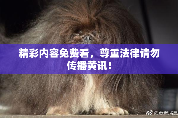 精彩内容免费看，尊重法律请勿传播黄讯！