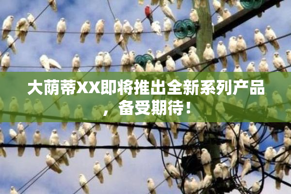 大荫蒂XX即将推出全新系列产品，备受期待！