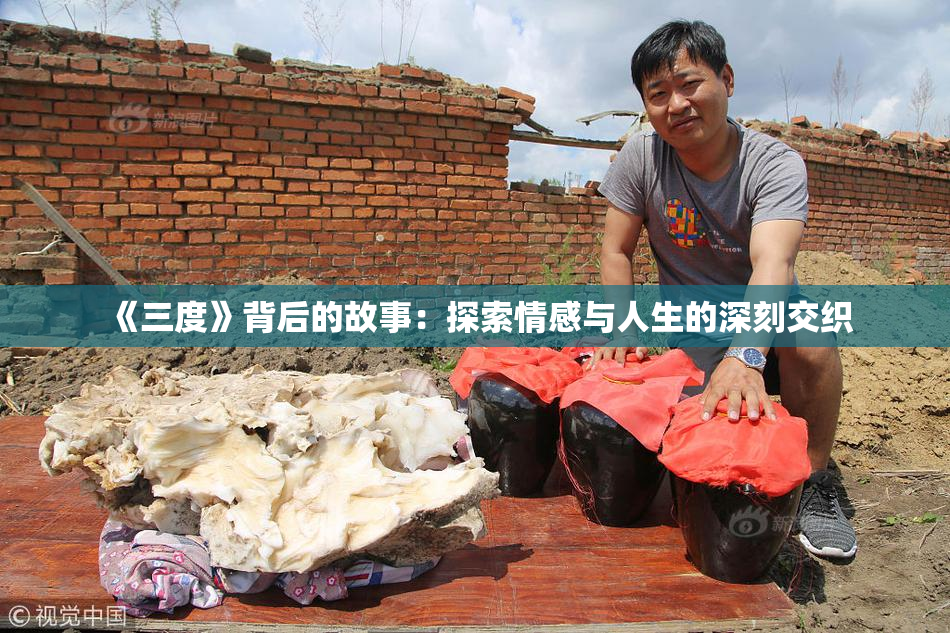 《三度》背后的故事：探索情感与人生的深刻交织