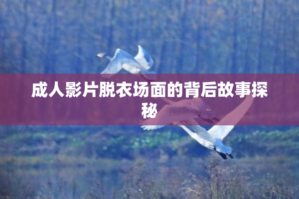 成人影片脱衣场面的背后故事探秘