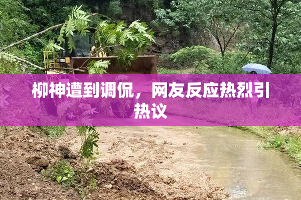 柳神遭到调侃，网友反应热烈引热议