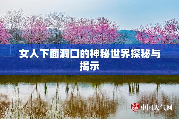 女人下面洞口的神秘世界探秘与揭示