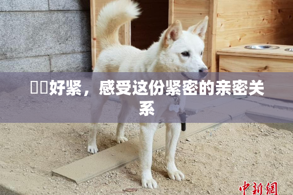妺妺好紧，感受这份紧密的亲密关系