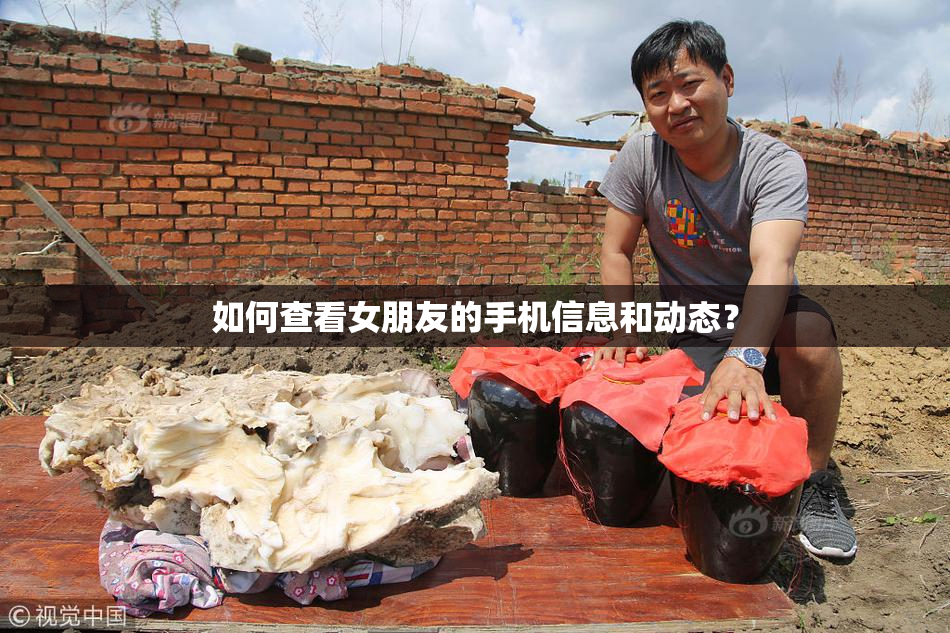 如何查看女朋友的手机信息和动态？