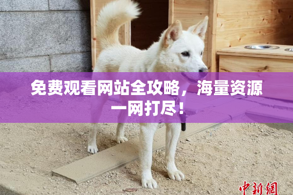 免费观看网站全攻略，海量资源一网打尽！