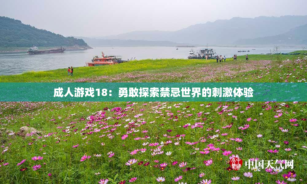 成人游戏18：勇敢探索禁忌世界的刺激体验