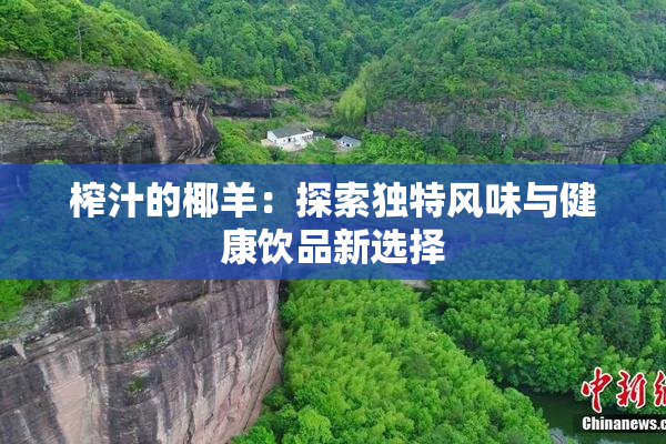榨汁的椰羊：探索独特风味与健康饮品新选择